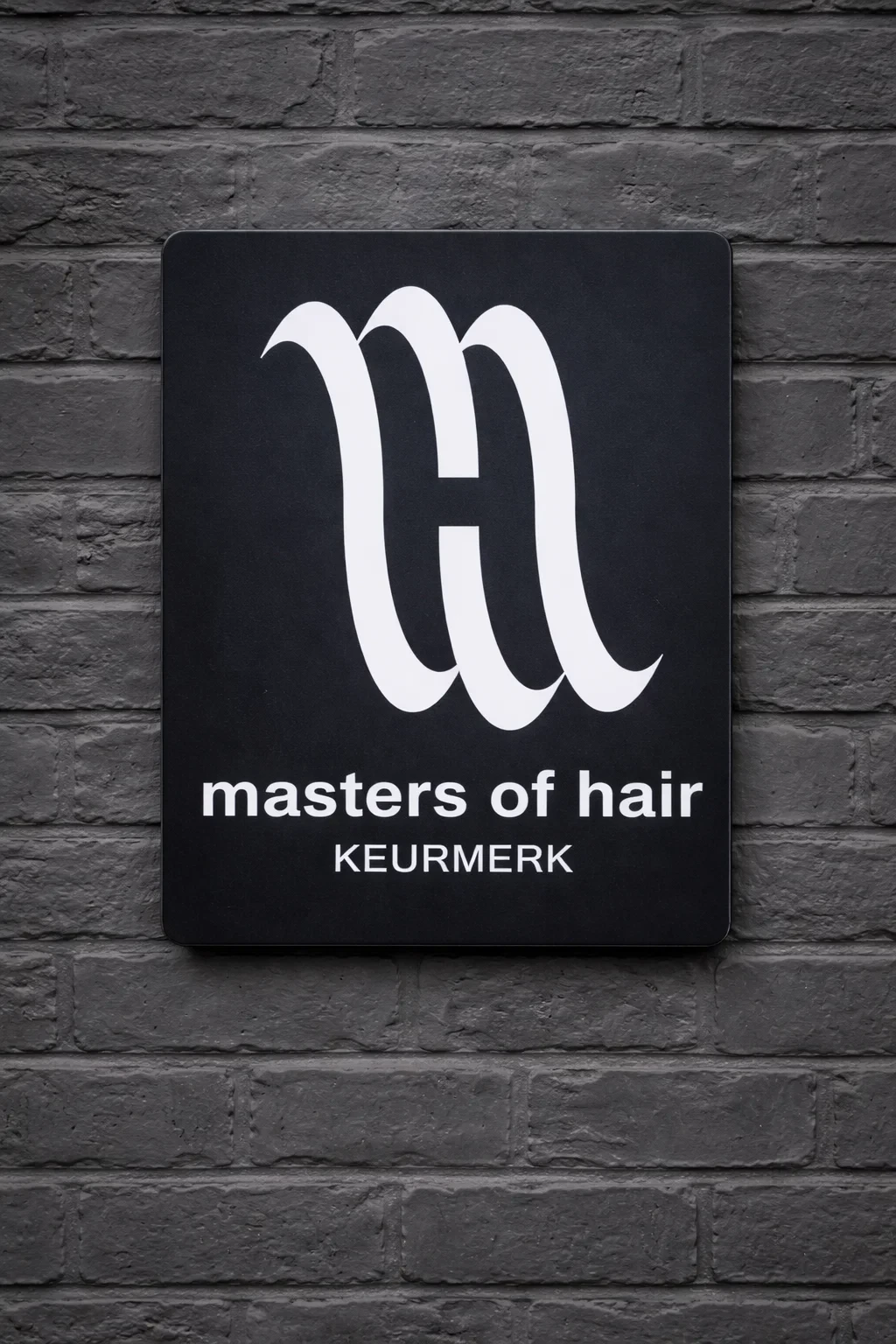 Masters of Hair
